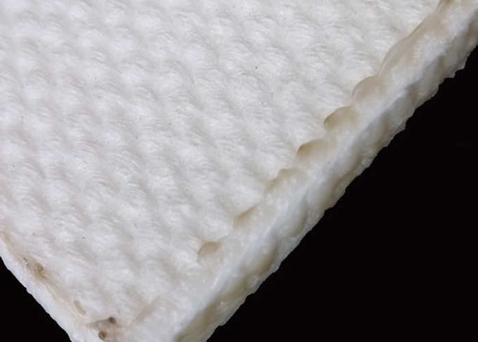 Конвейерная лента ткани псевдоожижения отсутствие гнить абсорбции влаги устойчивого